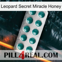 Leopard Secret Miracle Honey dapoxetine1
